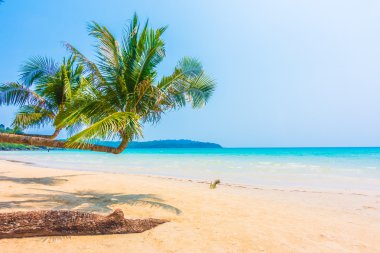 Güzel tropikal deniz ve kum plaj