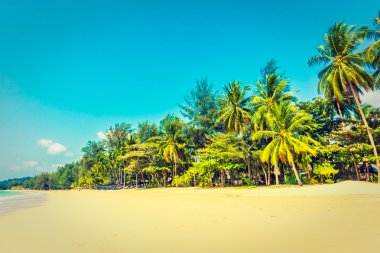 Güzel tropikal plaj ve deniz