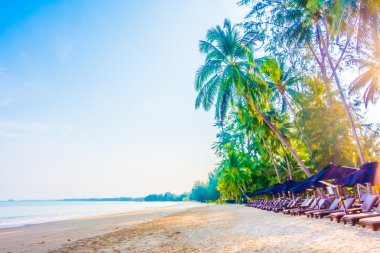 Güzel tropikal plaj ve deniz