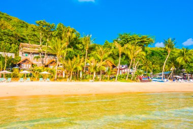 güzel tropikal plaj ve deniz manzara