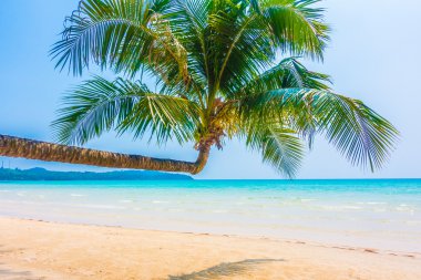 Güzel tropikal deniz ve kum plaj