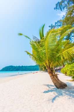 Güzel tropikal deniz ve kum plaj
