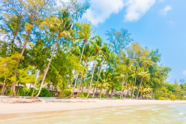 Güzel tropikal deniz ve kum plaj