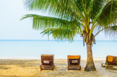 güzel tropik okyanus