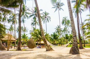 Boş hamak güzel tropik sahilde