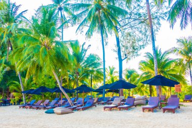 Güzel tropikal plaj ve deniz