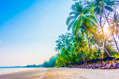 Güzel tropikal plaj ve deniz