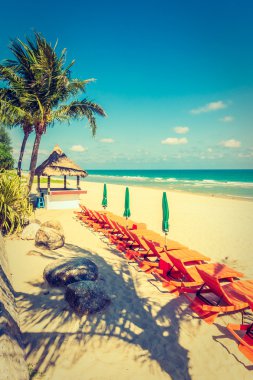 Şemsiye ve plaj sandalye