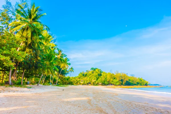 Bella spiaggia tropicale e mare — Foto Stock