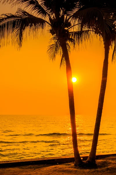 Silhouette palm tree — Stockfoto