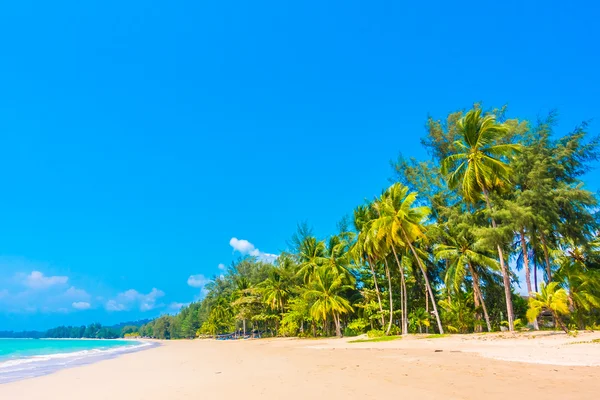 Güzel tropikal plaj ve deniz