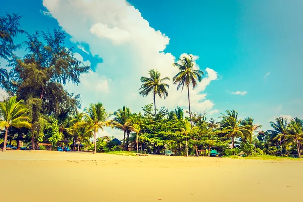 Güzel tropikal plaj ve deniz