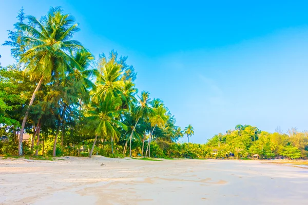 Bella spiaggia tropicale e mare — Foto Stock