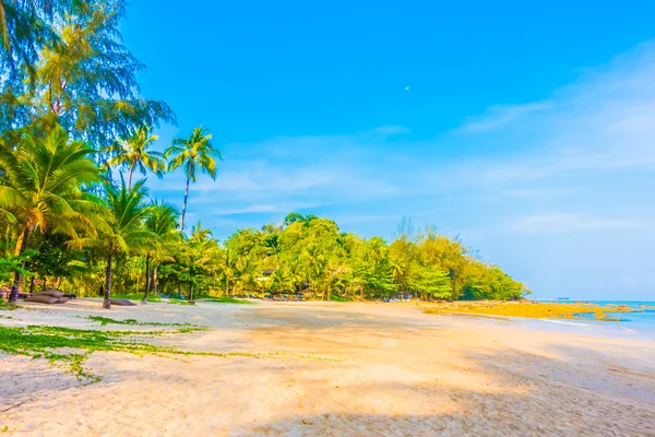 Belle plage tropicale et mer — Photo