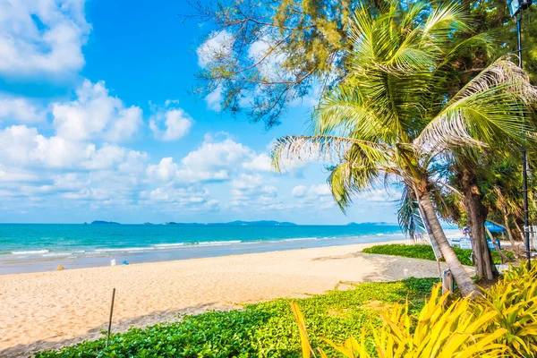 Güzel tropikal plaj ve deniz
