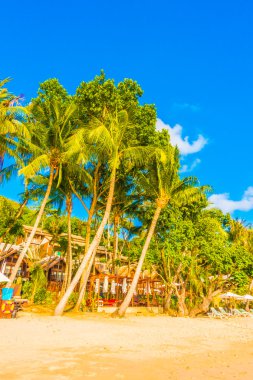 güzel tropikal plaj ve deniz manzara