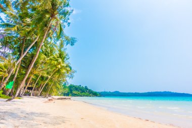 Güzel tropikal deniz ve kum plaj
