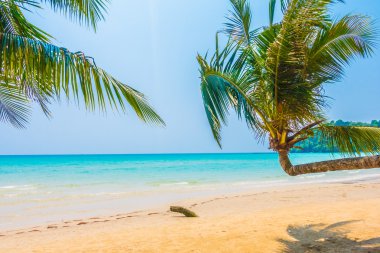 Güzel tropikal deniz ve kum plaj