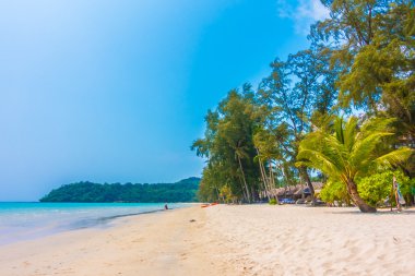 Güzel tropikal deniz ve kum plaj