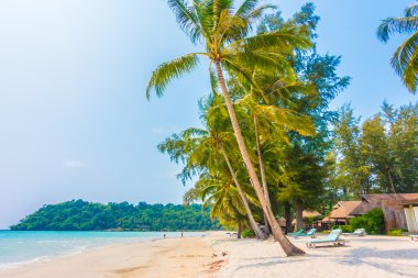 Güzel tropikal deniz ve kum plaj