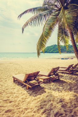 güzel tropik okyanus