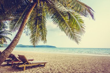 güzel tropik okyanus