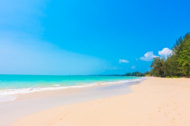 Güzel tropikal plaj ve deniz