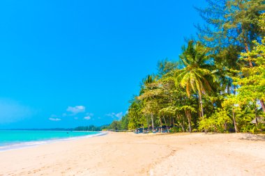 Güzel tropikal plaj ve deniz