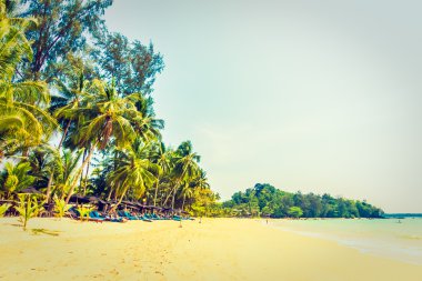 Güzel tropikal plaj ve deniz