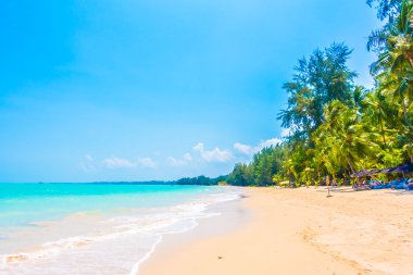 Güzel tropikal plaj ve deniz