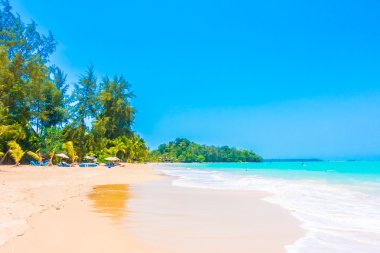 Güzel tropikal plaj ve deniz