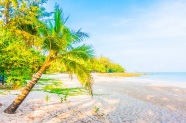Güzel tropikal plaj ve deniz