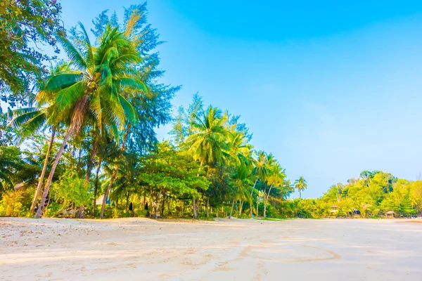 Belle plage tropicale et mer — Photo