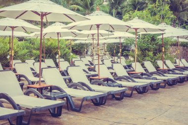 lüks Yüzme Havuzu Peyzaj