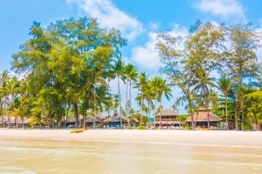 Güzel tropikal deniz ve kum plaj