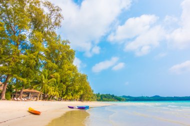 Güzel tropikal deniz ve kum plaj