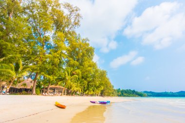 Güzel tropikal deniz ve kum plaj