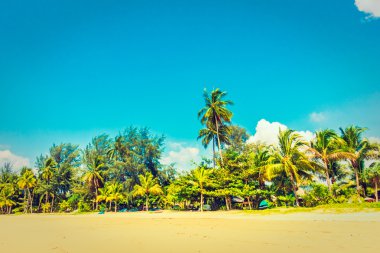 Güzel tropikal plaj ve deniz