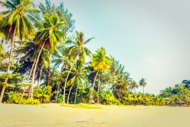 Güzel tropikal plaj ve deniz
