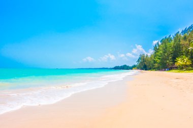 Güzel tropikal plaj ve deniz