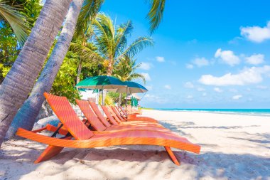 Güzel tropikal plaj ve deniz