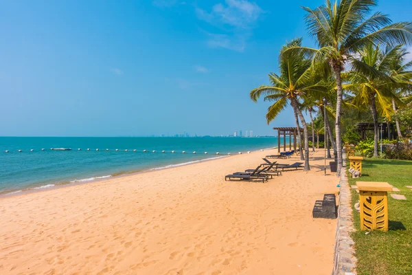 Güzel bir plaj ve deniz ile palmiye ağacı