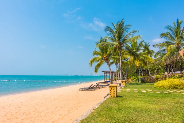 Güzel bir plaj ve deniz ile palmiye ağacı