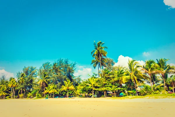 Güzel tropikal plaj ve deniz