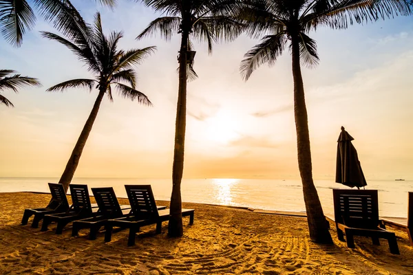 Beautiful coconut palm trees — Stock Photo, Image