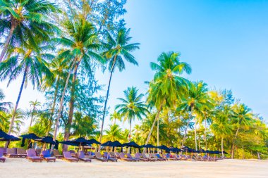 şemsiye ve güzel tropik sahil sandalye