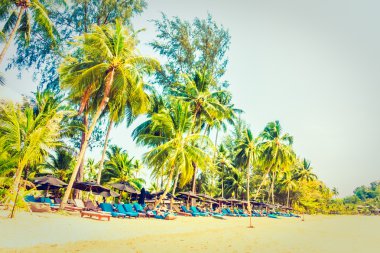 Güzel tropikal plaj ve deniz