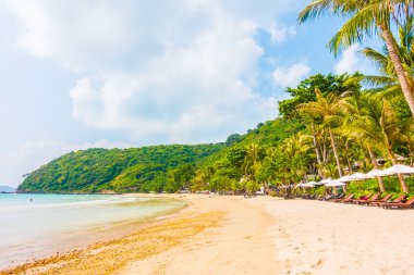 güzel tropikal plaj ve deniz manzara