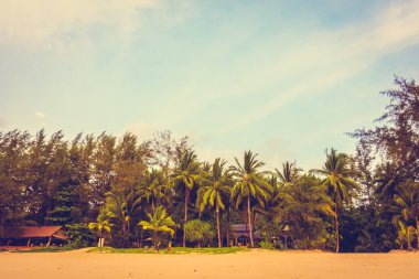 Güzel tropikal plaj ve deniz
