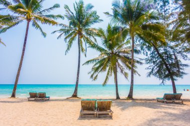 Güzel tropikal deniz ve kum plaj